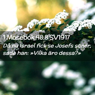 Picture 02 - 1 Mosebok 48:8 SV1917 - Då nu Israel fick se Josefs söner, sade han: - Bible Verse Picture