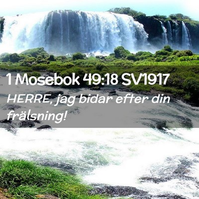 Picture 02 - 1 Mosebok 49:18 SV1917 - HERRE, jag bidar efter din - Bible Verse Picture