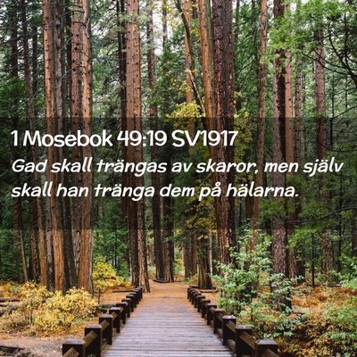 Picture 02 - 1 Mosebok 49:19 SV1917 - Gad skall trängas av skaror, men själv skall - Bible Verse Picture