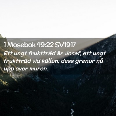 Picture 02 - 1 Mosebok 49:22 SV1917 - Ett ungt fruktträd är Josef, ett ungt - Bible Verse Picture