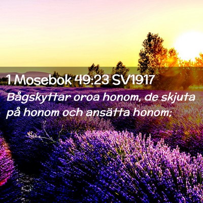 Picture 02 - 1 Mosebok 49:23 SV1917 - Bågskyttar oroa honom, de skjuta på honom och - Bible Verse Picture