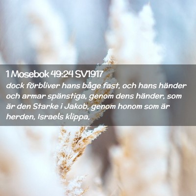 Picture 02 - 1 Mosebok 49:24 SV1917 - dock förbliver hans båge fast, och hans händer - Bible Verse Picture