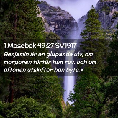 Picture 02 - 1 Mosebok 49:27 SV1917 - Benjamin är en glupande ulv; om morgonen - Bible Verse Picture