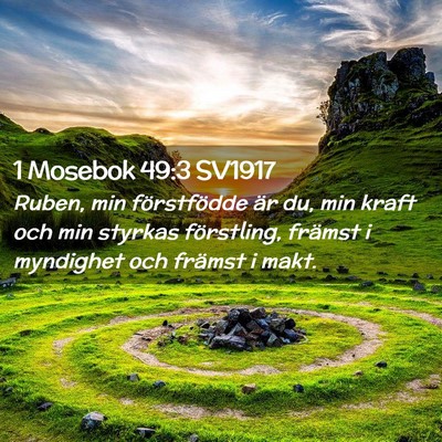Picture 02 - 1 Mosebok 49:3 SV1917 - Ruben, min förstfödde är du, min kraft och min - Bible Verse Picture