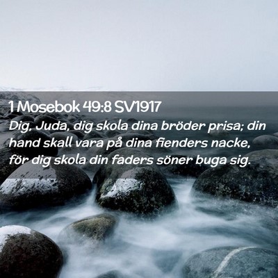 Picture 02 - 1 Mosebok 49:8 SV1917 - Dig, Juda, dig skola dina bröder prisa; din hand - Bible Verse Picture