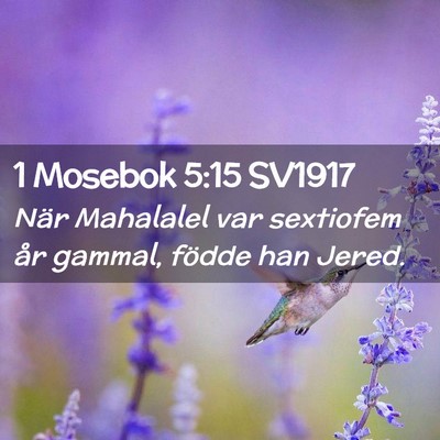 Picture 02 - 1 Mosebok 5:15 SV1917 - När Mahalalel var sextiofem år gammal, födde - Bible Verse Picture