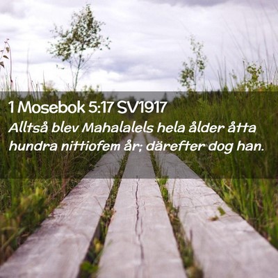 Picture 02 - 1 Mosebok 5:17 SV1917 - Alltså blev Mahalalels hela ålder åtta hundra - Bible Verse Picture
