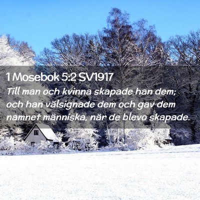 Picture 02 - 1 Mosebok 5:2 SV1917 - Till man och kvinna skapade han dem; och han - Bible Verse Picture