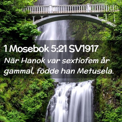 Picture 02 - 1 Mosebok 5:21 SV1917 - När Hanok var sextiofem år gammal, födde han - Bible Verse Picture