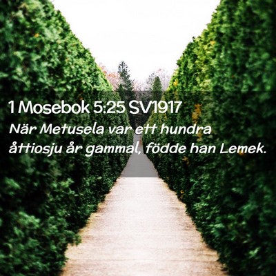 Picture 02 - 1 Mosebok 5:25 SV1917 - När Metusela var ett hundra åttiosju år - Bible Verse Picture