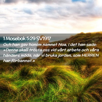 Picture 02 - 1 Mosebok 5:29 SV1917 - Och han gav honom namnet Noa, i det han sade: - Bible Verse Picture