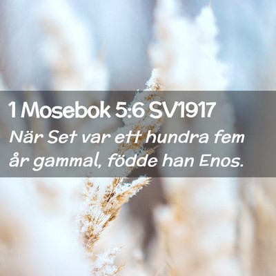 Picture 02 - 1 Mosebok 5:6 SV1917 - När Set var ett hundra fem år gammal, födde - Bible Verse Picture