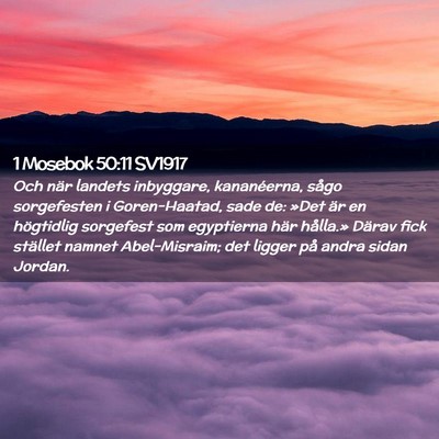 Picture 02 - 1 Mosebok 50:11 SV1917 - Och när landets inbyggare, kananéerna, sågo - Bible Verse Picture