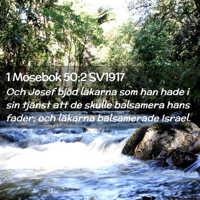 Picture 02 - 1 Mosebok 50:2 SV1917 - Och Josef bjöd läkarna som han hade i sin - Bible Verse Picture