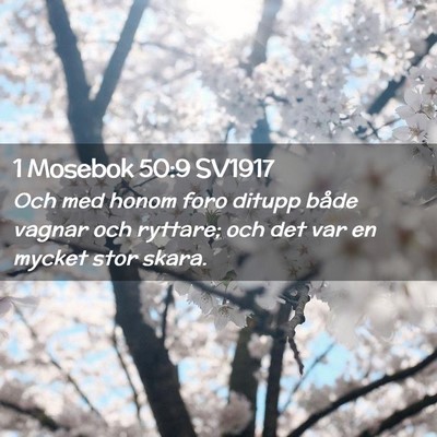Picture 02 - 1 Mosebok 50:9 SV1917 - Och med honom foro ditupp både vagnar och - Bible Verse Picture