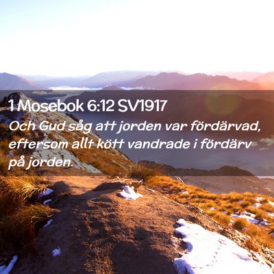 Picture 02 - 1 Mosebok 6:12 SV1917 - Och Gud såg att jorden var fördärvad, eftersom - Bible Verse Picture