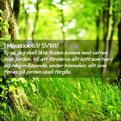 Picture 02 - 1 Mosebok 6:17 SV1917 - Ty se, jag skall låta floden komma med vatten - Bible Verse Picture