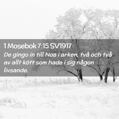 Picture 02 - 1 Mosebok 7:15 SV1917 - De gingo in till Noa i arken, två och två av - Bible Verse Picture