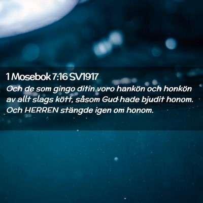 Picture 02 - 1 Mosebok 7:16 SV1917 - Och de som gingo ditin voro hankön och honkön - Bible Verse Picture