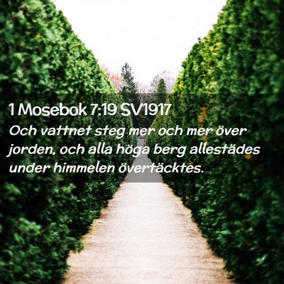Picture 02 - 1 Mosebok 7:19 SV1917 - Och vattnet steg mer och mer över jorden, och - Bible Verse Picture