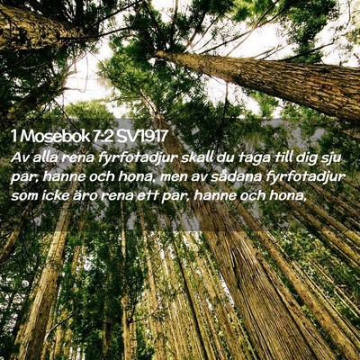 Picture 02 - 1 Mosebok 7:2 SV1917 - Av alla rena fyrfotadjur skall du taga till dig - Bible Verse Picture