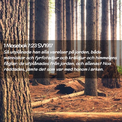 Picture 02 - 1 Mosebok 7:23 SV1917 - Så utplånade han alla varelser på jorden, - Bible Verse Picture