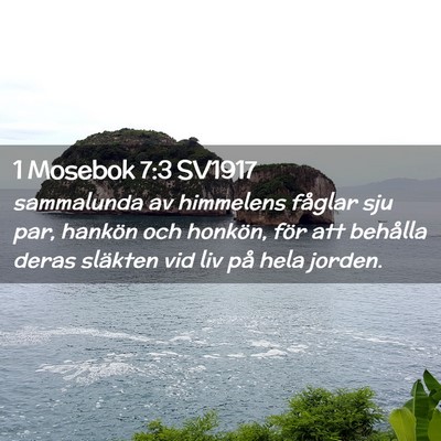 Picture 02 - 1 Mosebok 7:3 SV1917 - sammalunda av himmelens fåglar sju par, hankön - Bible Verse Picture