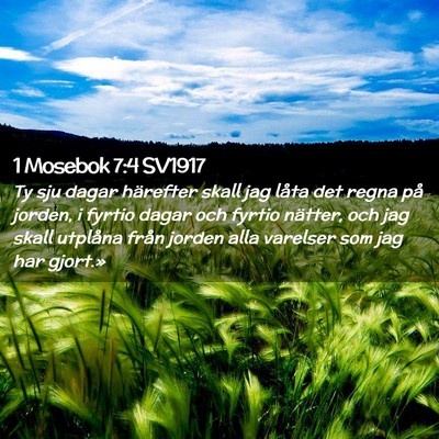 Picture 02 - 1 Mosebok 7:4 SV1917 - Ty sju dagar härefter skall jag låta det regna - Bible Verse Picture