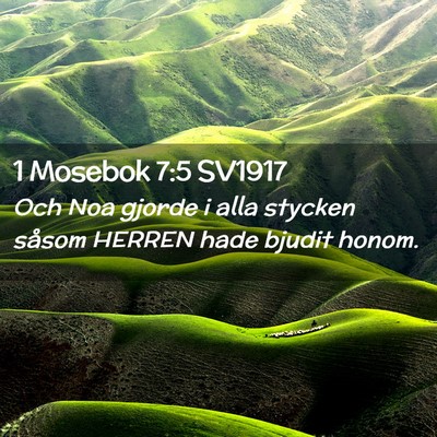 Picture 02 - 1 Mosebok 7:5 SV1917 - Och Noa gjorde i alla stycken såsom HERREN hade - Bible Verse Picture