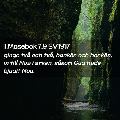 Picture 02 - 1 Mosebok 7:9 SV1917 - gingo två och två, hankön och honkön, in till - Bible Verse Picture