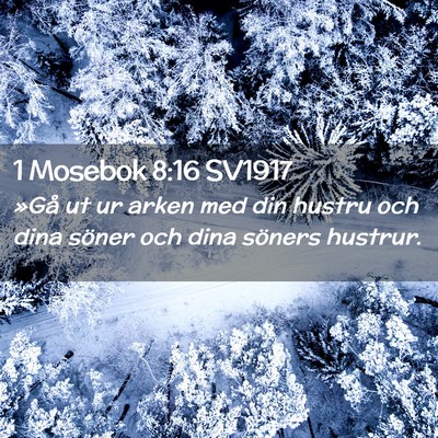 Picture 02 - 1 Mosebok 8:16 SV1917 - »Gå ut ur arken med din hustru och dina söner - Bible Verse Picture