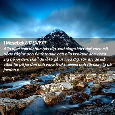 Picture 02 - 1 Mosebok 8:17 SV1917 - Alla djur som du har hos dig, vad slags kött det - Bible Verse Picture