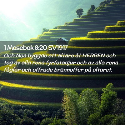 Picture 02 - 1 Mosebok 8:20 SV1917 - Och Noa byggde ett altare åt HERREN och tog av - Bible Verse Picture