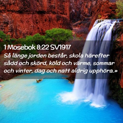 Picture 02 - 1 Mosebok 8:22 SV1917 - Så länge jorden består, skola härefter sådd - Bible Verse Picture