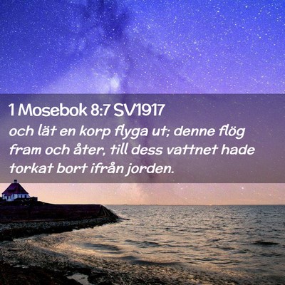Picture 02 - 1 Mosebok 8:7 SV1917 - och lät en korp flyga ut; denne flög fram och - Bible Verse Picture