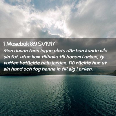 Picture 02 - 1 Mosebok 8:9 SV1917 - Men duvan fann ingen plats där hon kunde vila - Bible Verse Picture