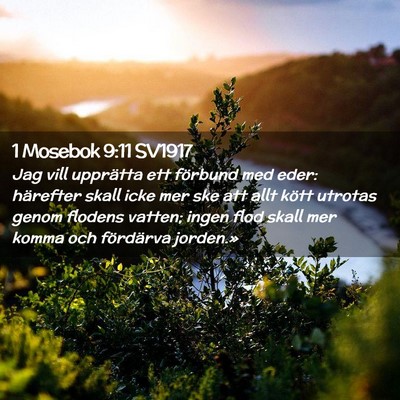 Picture 02 - 1 Mosebok 9:11 SV1917 - Jag vill upprätta ett förbund med eder: - Bible Verse Picture