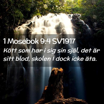 Picture 02 - 1 Mosebok 9:4 SV1917 - Kött som har i sig sin själ, det är sitt blod, - Bible Verse Picture