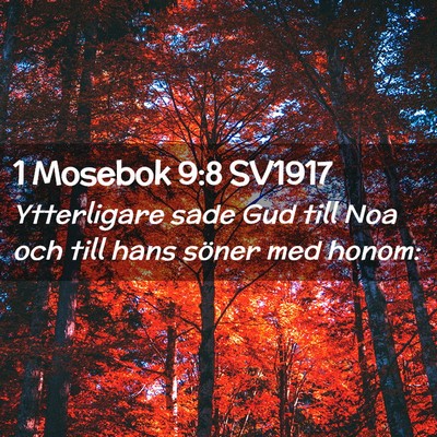 Picture 02 - 1 Mosebok 9:8 SV1917 - Ytterligare sade Gud till Noa och till hans - Bible Verse Picture