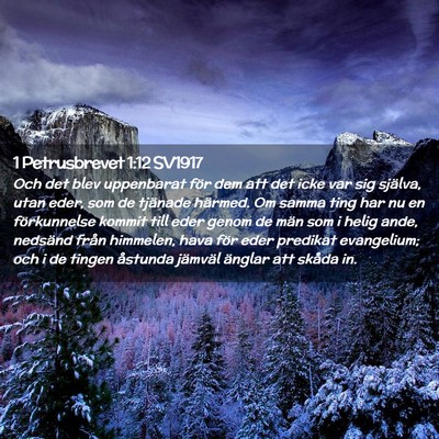 Picture 02 - 1 Petrusbrevet 1:12 SV1917 - Och det blev uppenbarat för dem att det icke var - Bible Verse Picture