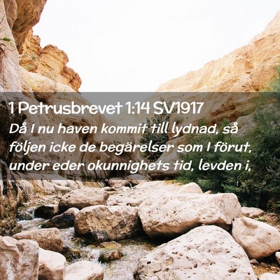 Picture 02 - 1 Petrusbrevet 1:14 SV1917 - Då I nu haven kommit till lydnad, så följen - Bible Verse Picture