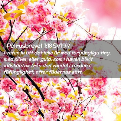 Picture 02 - 1 Petrusbrevet 1:18 SV1917 - I veten ju att det icke är med förgängliga - Bible Verse Picture