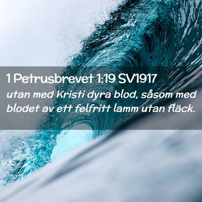Picture 02 - 1 Petrusbrevet 1:19 SV1917 - utan med Kristi dyra blod, såsom med blodet av - Bible Verse Picture