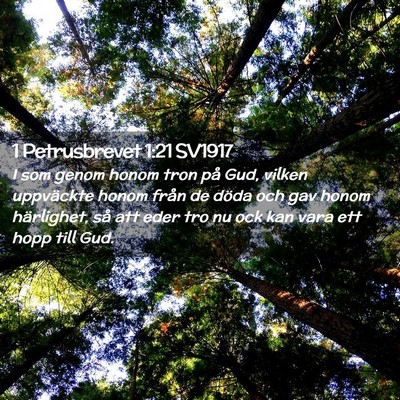 Picture 02 - 1 Petrusbrevet 1:21 SV1917 - I som genom honom tron på Gud, vilken uppväckte - Bible Verse Picture
