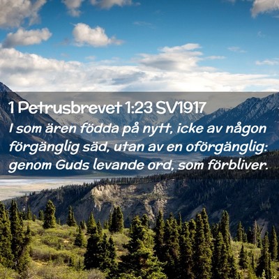 Picture 02 - 1 Petrusbrevet 1:23 SV1917 - I som ären födda på nytt, icke av någon - Bible Verse Picture