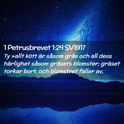 Picture 02 - 1 Petrusbrevet 1:24 SV1917 - Ty »allt kött är såsom gräs och all dess - Bible Verse Picture