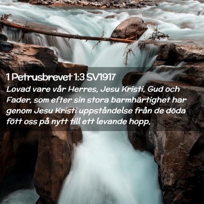 Picture 02 - 1 Petrusbrevet 1:3 SV1917 - Lovad vare vår Herres, Jesu Kristi, Gud och - Bible Verse Picture