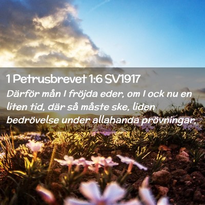 Picture 02 - 1 Petrusbrevet 1:6 SV1917 - Därför mån I fröjda eder, om I ock nu en - Bible Verse Picture