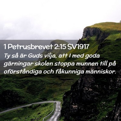 Picture 02 - 1 Petrusbrevet 2:15 SV1917 - Ty så är Guds vilja, att I med goda gärningar - Bible Verse Picture