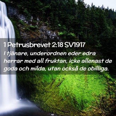 Picture 02 - 1 Petrusbrevet 2:18 SV1917 - I tjänare, underordnen eder edra herrar med all - Bible Verse Picture